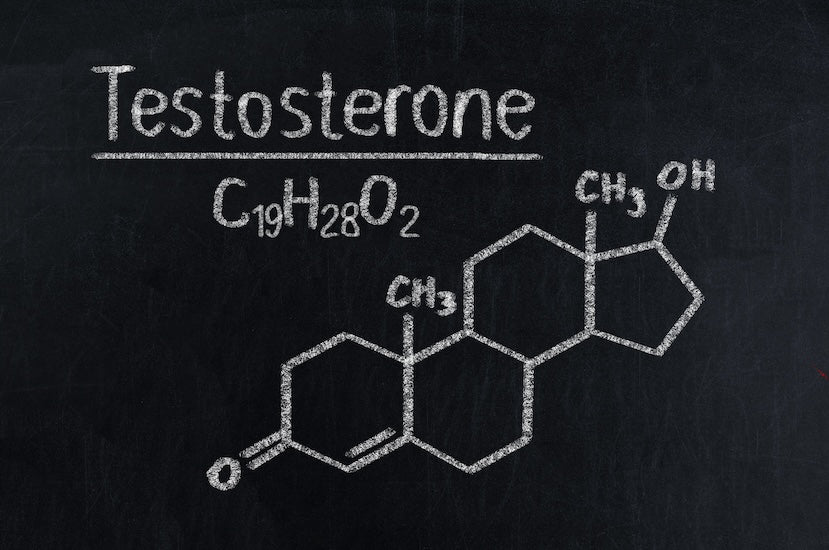 NMN en testosteron